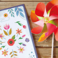 Craft Kits