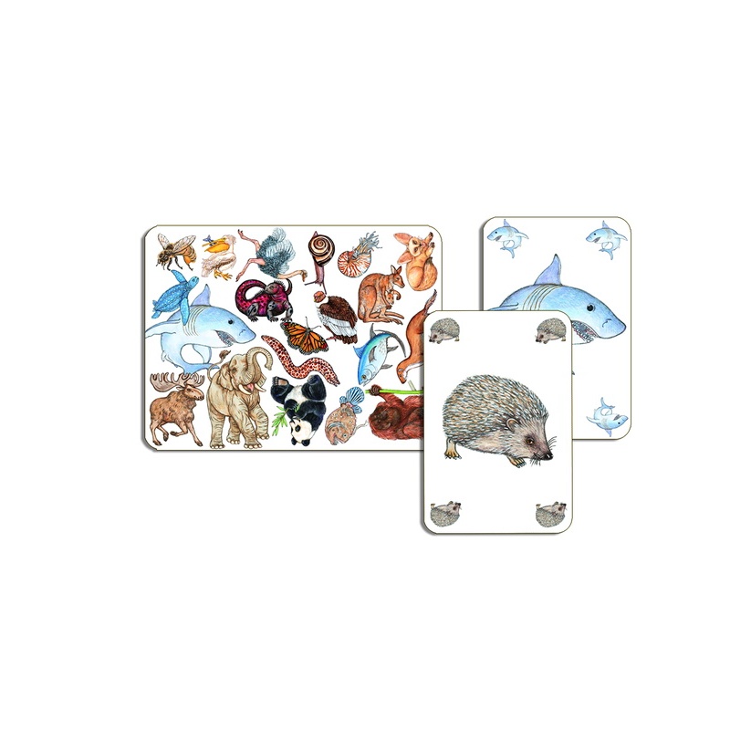 DJ05153-cartes.jpg
