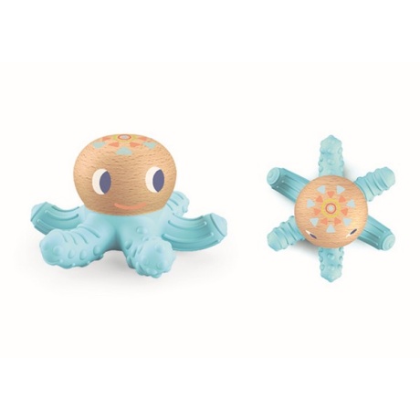 BabySquidi