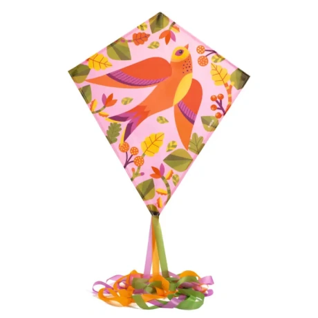 Games of skill - Kite - Birdy